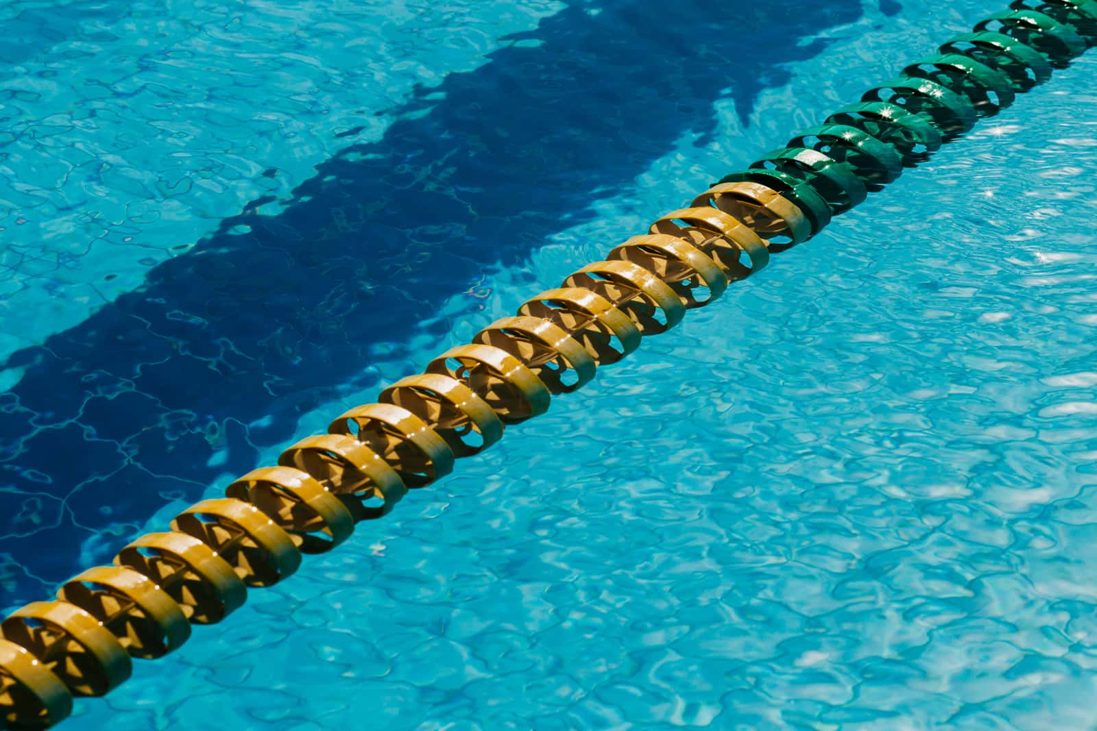 Green pool water being treated, with the waterline and pool edge in frame