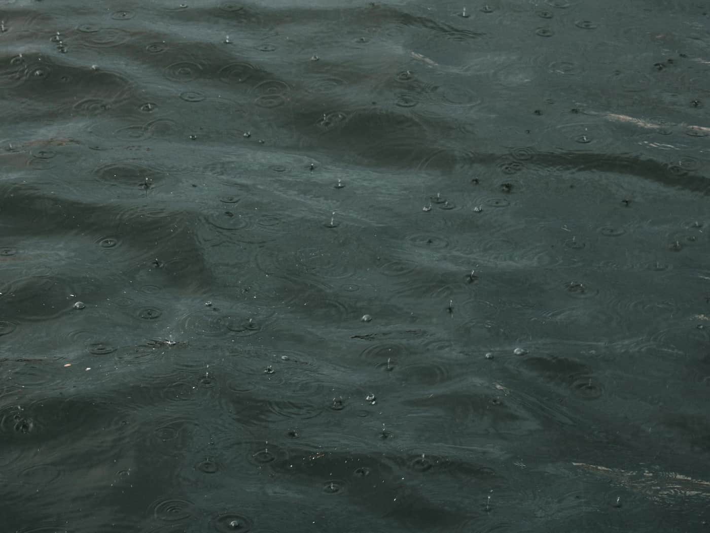Raindrops making ripples on standing dark water