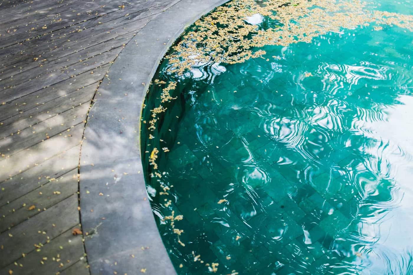 A pool net being used to skim leaves from the water surface