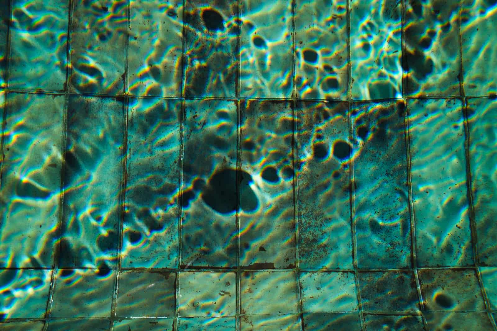 Close-up of dark algae growth on a pool tile surface underwater